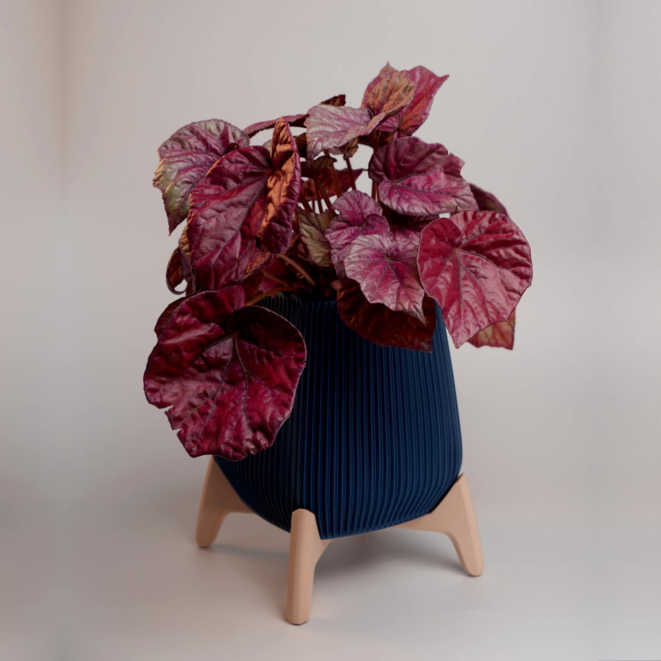 Vaso Sino CURVU - 05