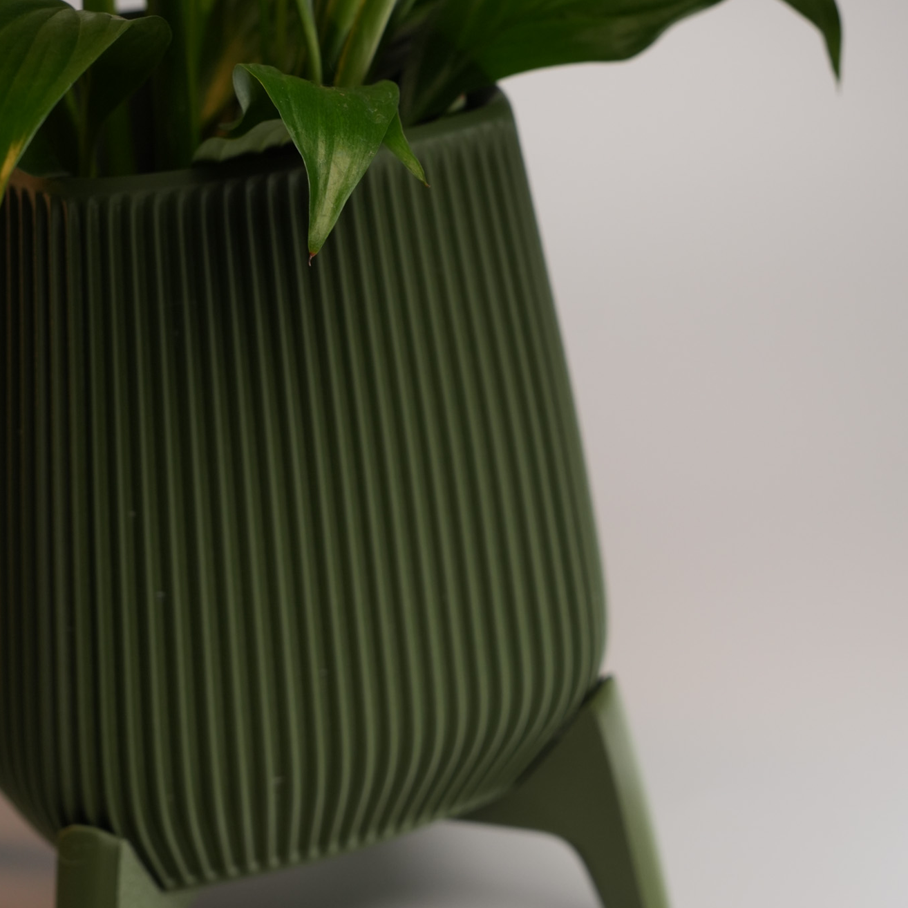 Vaso Sino CURVU - 02